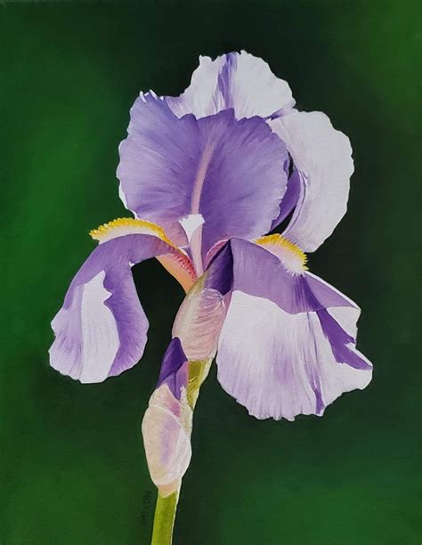 Purple Iris Flower Oil Painting Still Life Floral Painting Art Sold