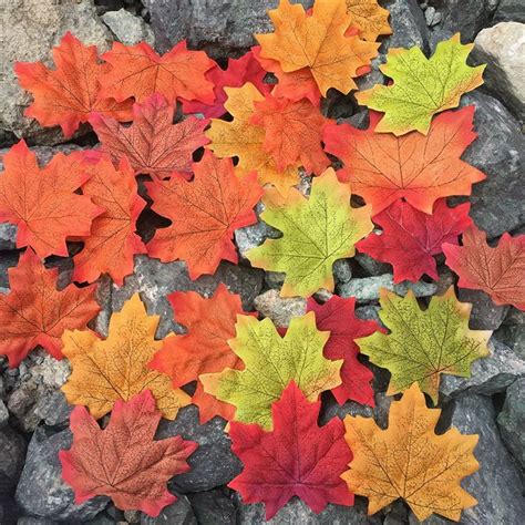 500 Pcs 6 Colors Fall Silk Leaves Wedding Favor Autumn Maple Leaf