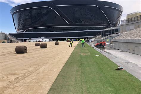 Raiders Allegiant Stadium Gets First Grass Laid On Field Tray