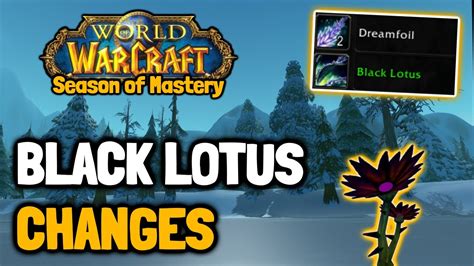 Huge Black Lotus Discovery In Classic Wow Season Of Mastery Youtube