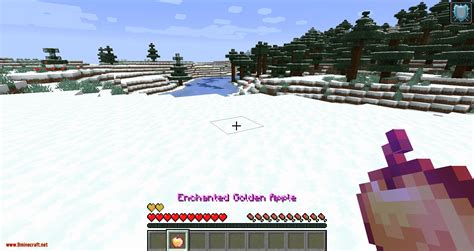I don't really know how to word that title. Health Overlay Mod 1.16.4/1.15.2 (Displays Hearts in ...
