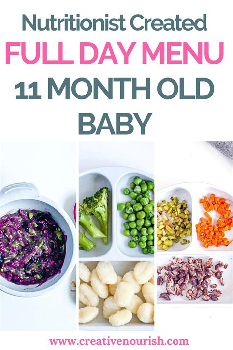 What can baby eat this month? 11 Month Old Meal Plan - Nutritionist Approved | Healthy ...