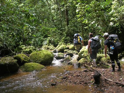 Die worte pulong tau bedeuten in der sprache der kelabit unser wald. Photo exhibition | ITTO | The International Tropical ...