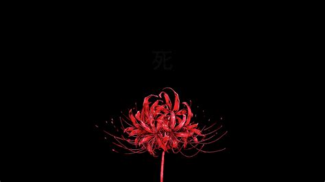 Choose from hundreds of free dark wallpapers. Red Aesthetics Desktop Wallpapers - Wallpaper Cave