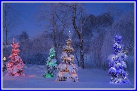 Peaceful Christmas Snow Scenes