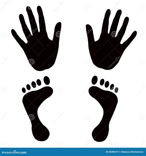 Vector Shapes Hands Feet Royalty Free Stock Images Image 6698619