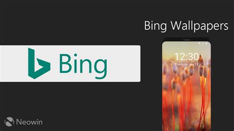 Microsofts Bing Wallpapers App Makes It To Android With More