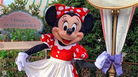 Dining Review Plaza Inn Minnie And Friends Breakfast In The Park At