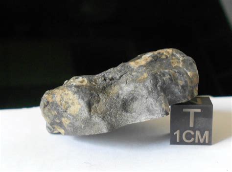Northwest Africa 11576 Eucrite Melt Breccia Sv Meteorites