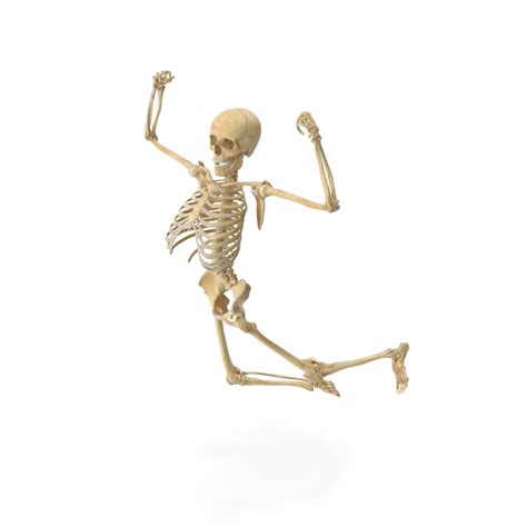 Real Human Female Skeleton Pose Png Images And Psds For Download