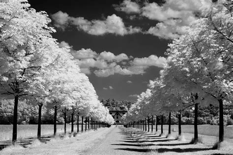 Black And White Full Hd Wallpaper And Background Image 2587x1720 Id
