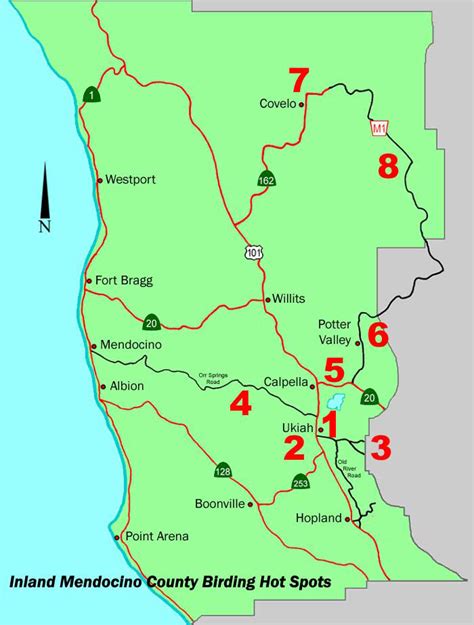Pas Places To Bird In Inland Mendocino County