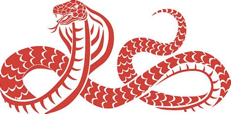 Free Free King Cobra Svg 651 SVG PNG EPS DXF File
