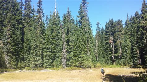 Check spelling or type a new query. Cascade Locks to Trout Lake, July 2015 - A Skirt In The Dirt