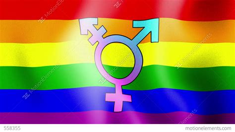 Waving Rainbow Flag Transgender Stock Animation 558355