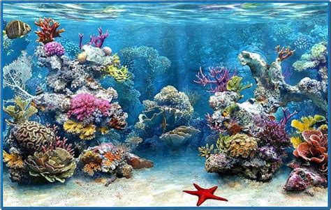 Live 3d Marine Aquarium Screensaver Download Stimarin