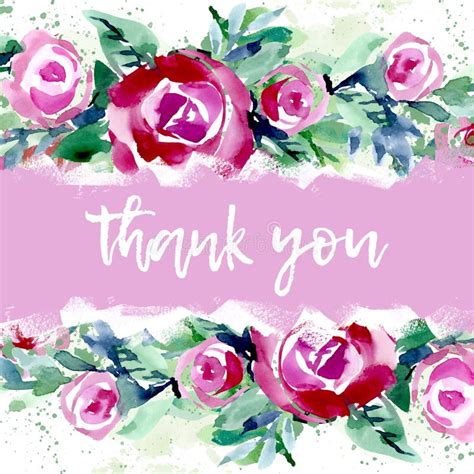 Thank You Postcard Gratitude With Watercolor Pink Roses Stock