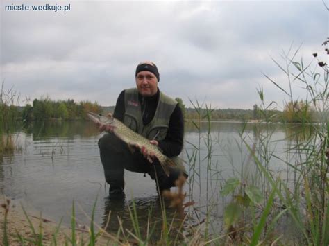 Szczupak 74cm 2 39kg zbiornik Pogoria 4 13 październik 2012r