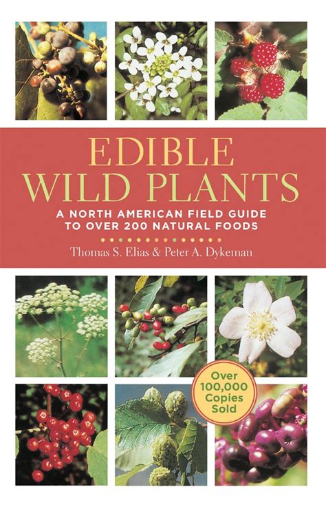 Edible Wild Plants Guide Book The Southern Survivalist