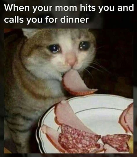 When Your Mom Hits You And Calls You For Dinner Crying Cat Eating
