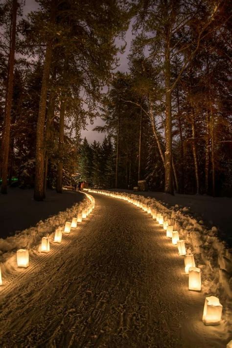 Choose Your Own Path Diy Wedding Lighting Outdoor Wedding