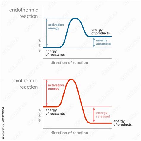 Activation Energy In Endothermic And Exothermic Reactions Stock