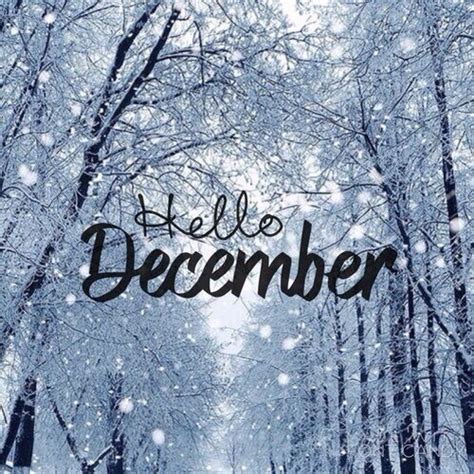 Monthly Hits Of December On Spotify December Quotes Hello December