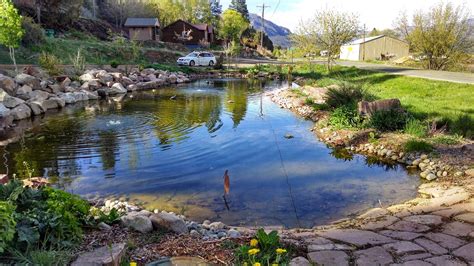 You can add waterfalls to your ponds and pools, but that's not the only option. Building Large Pond & Waterfall = Dream Landscaping ...