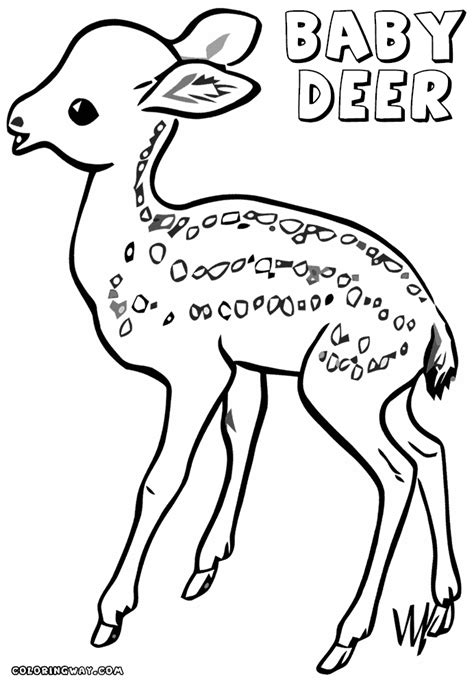 Ook voor jou is er dus wel een leuke kleurplaat te vinden hier op kinderpleinen. Baby deer coloring pages | Coloring pages to download and ...