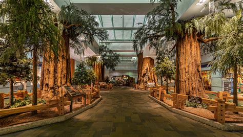 This experienced team creates stunning arrangements for a variety of special occasions including. Airport Progress | Fresno Yosemite International Airport ...