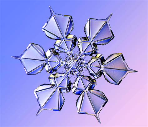 Real Snowflake Under Electron Microscope