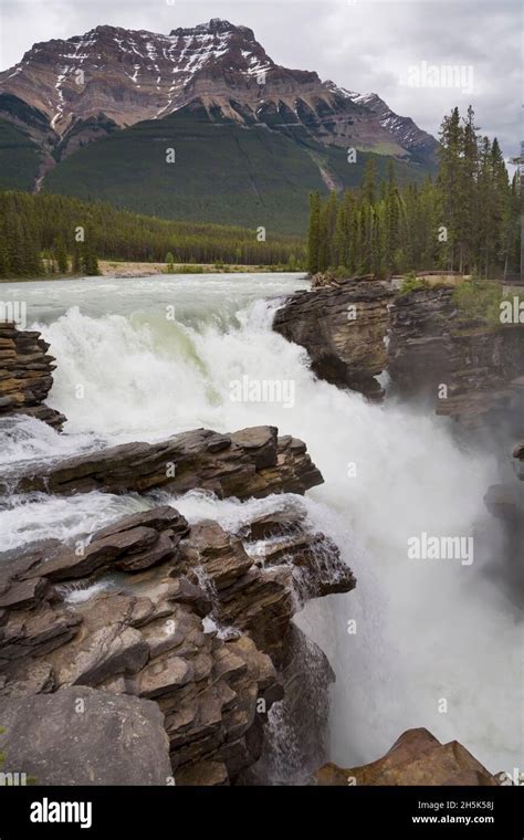 Mount Kerkeslin And Athabasca Falls Jasper National Park Alberta