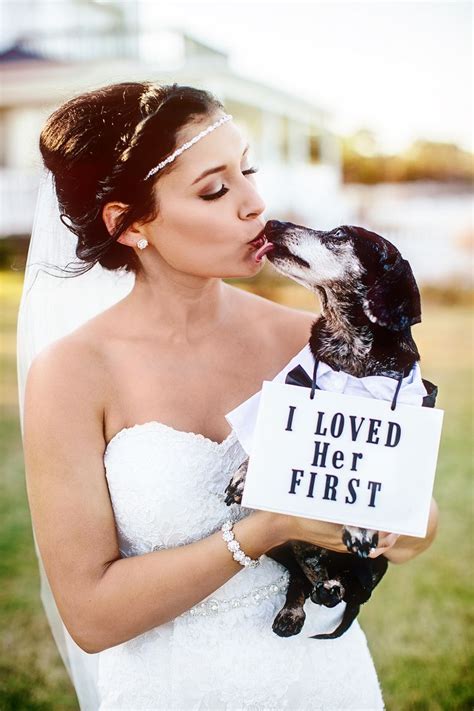Dogs At Weddings How To Include Your Dog In Your Wedding