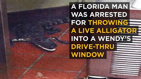 Florida Man Arrested For Throwing Alligator Into Drive Thru Window Youtube