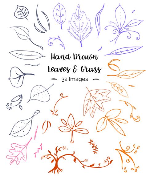 Hand Drawn Leaves And Grass Clipart