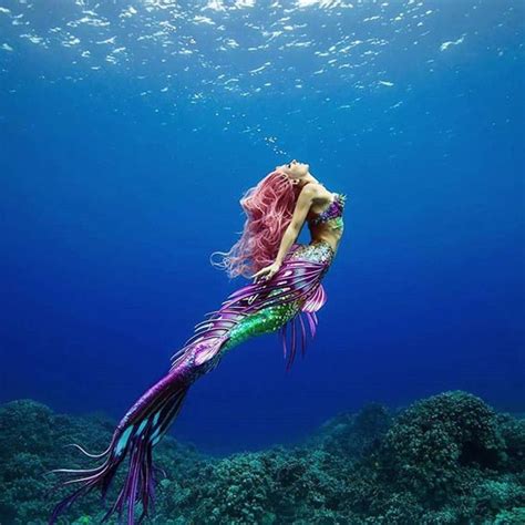 Lista Foto Imagenes De Sirenas Reales Encontradas Vivas En El Mar Cena Hermosa
