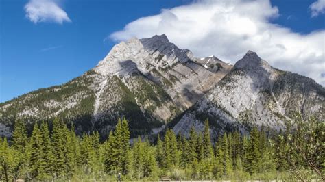 Green Trees Covered Slope Mountains In White Clouds Blue Sky Background