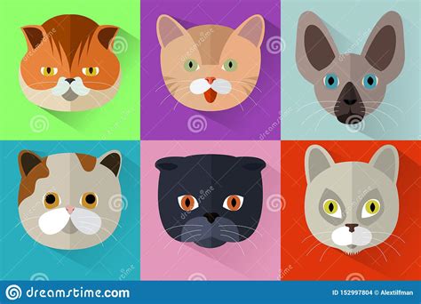 Set Of Cats Heads In Flat Style Cute Cats Vector Pattern Whiskers And