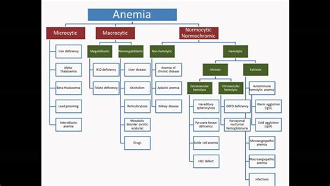Anemia Usmle Step 2 Review 57829 Youtube