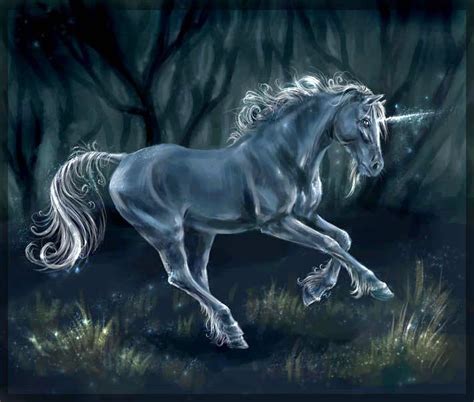 El Unicornio Un Ser MitolÓgico De Verdad
