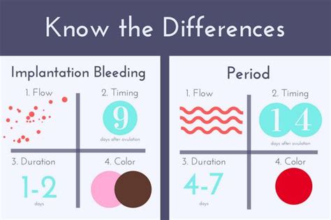 What Is Implantation Bleeding American Pregnancy Association