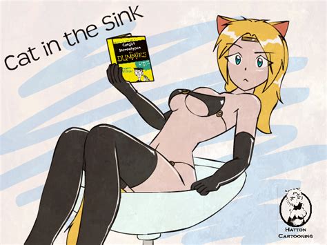 Cat In The Sink By Mandalorian Jedi Hentai Foundry