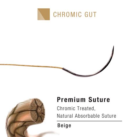 Suture Chromic Gut Riverpoint Medical