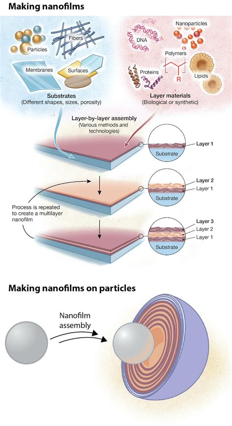 How Diseases Can Be Targeted Using Nanotechnology And Why Its Difficult