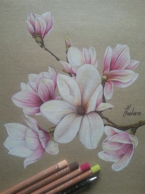 My coloring에 있는 H.Barbara님의 핀