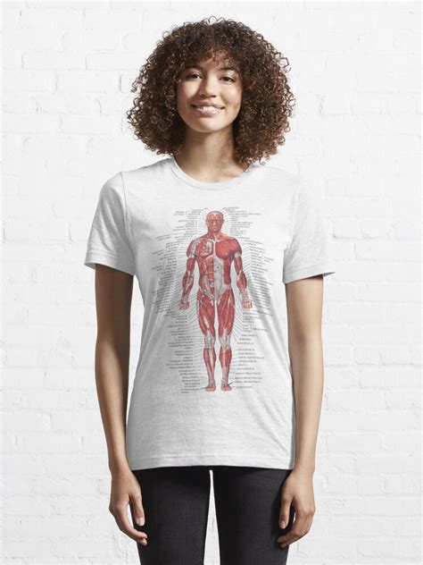Muscular System Of The Human Body T Shirt For Sale By Hoorahville