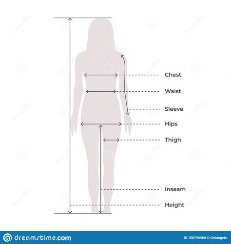 The golden ratio (which is approximately 1.6) is a mathematical representation of the most attractive proportions. Woman Female Body Measurement Proportions For Clothing ...