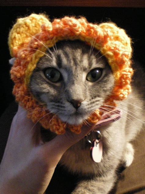 Cat lion mane, perfect for your cat to wear for fun. Kethrim's Blog - Cats, Food, and Yarncraft: ROAR! Lion's Mane