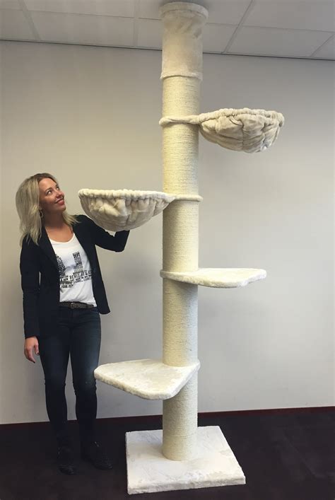 There are tons of different cat trees on amazon and you might think that all of them could be good for your maine coon. Cat Tree Maine Coon Tower (Creme / White) | LOWEST PRICES ...