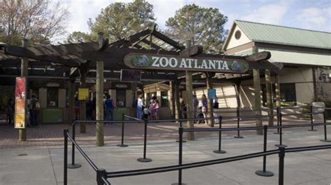 Zoo Atlanta Reopening May 16 Metv Atlanta Wgta